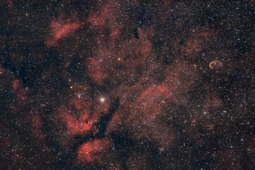 Wall Mural - Red Nebulosity arroud Sadr in the Constellation of Cygnus