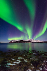 lofoten aurora