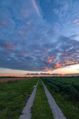 Wall Mural - Country road in the dutch landscape under colorful evening sky