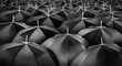 © Jakub Krechowicz - Mass of black umbrellas