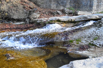 Wall Mural - waterfall in the forest