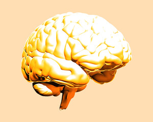 Wall Mural - Yellow human brain illustration isolated on vanilla BG