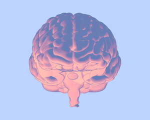 Wall Mural - Soft color human brain illustration isolated on blue BG