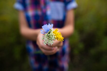 Close Up Of Child Holding Wildflower Bouquet