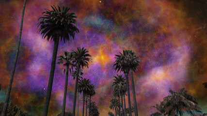 Wall Mural - colorful fantasy sky above the palm trees