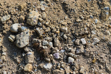 Wall Mural - Detailed close up view on pebbles and stones on a gravel ground texture