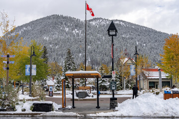 Wall Mural - Street view of Town of Banff. Bus stop in Banff Avenue in autumn and winter snowy season. Banff, Alberta, Canada.