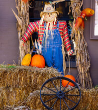 Halloween Scene Of Dressed Figure With Side Cornstalks And Pumpkins In A Country House Setting In Michigan, USA In October