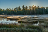 Fototapeta Na ścianę - Sunrise seeing the frost over pond  grass landscape