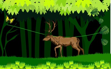 Wall Mural - Jungle scene, deer walk in the jungle, green folliage frame, night junle, vector template