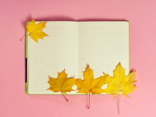 Wall Mural - Bright autumn maple leaves with blank notebook on pink paper background. Seasonal fall composition, thanksgiving day concept. Creative flatlay, top view, copy space