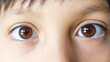 Close up beautiful brown eyes of a young boy. Wide open brown eyes looking to the camera  