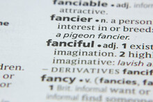 Word Or Phrase Fanciful In A Dictionary.