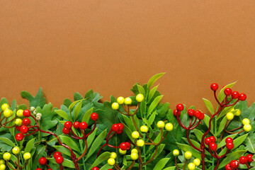 Wall Mural - Autumn oak and rowan branches with red berries on  brown background.