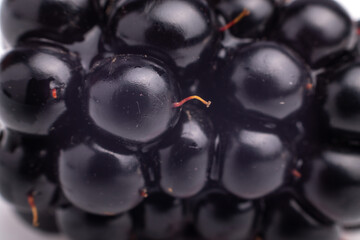 Wall Mural - blackberry macro shot isolated on white background