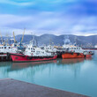 © Irida - Russia, Novorossiysk - 03/26/2017: Seaport with boats on the Black Sea on a cloudy day.