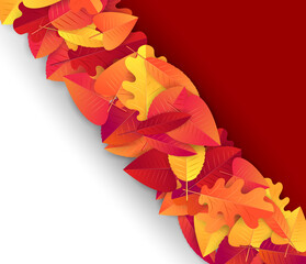 Wall Mural - Autumn design template. Red and orange leaves on white and black background. Backdrop for fall sale concept. Vector illustration.