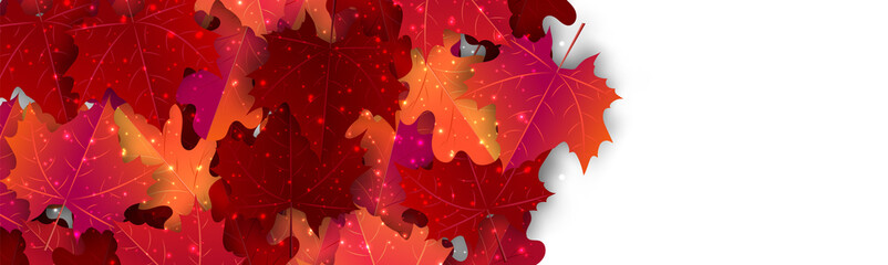 Wall Mural - Autumn banner. Horizontal header with red and orange maple leaves and glowing sparkles. Vector illustration.