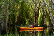 © godji10 - On vacation female tourist using laptop on kayak in the botanic rainforest. Smart telecommunication make life easier to contact, get information. 5G communication technology, internet networks concept
