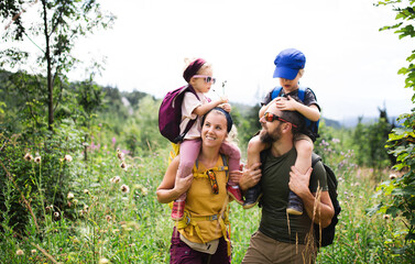 Wall Mural - Family with small children hiking outdoors in summer nature.