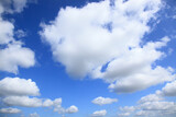 Fototapeta Na sufit - 青空の雲