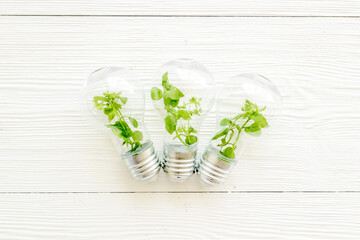 Light bulb with green grass - renewable energy eco concept