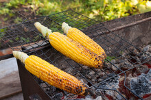 Corn Cobs Fried On A Grill Over Coals