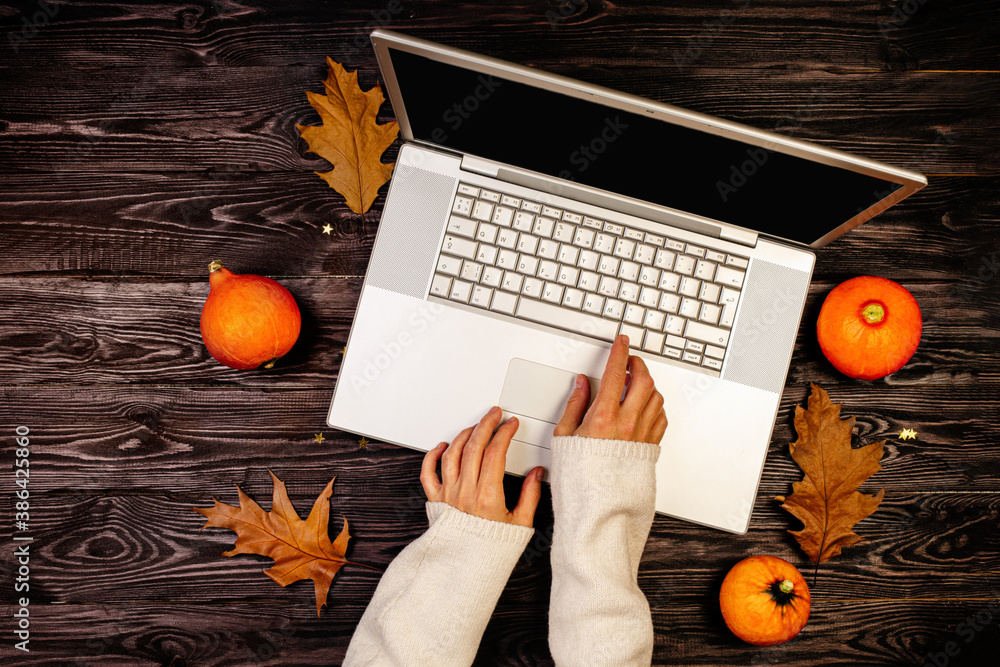 Fall And Computer Autumn pumpkins with hands using a laptop computer from above Stock ...