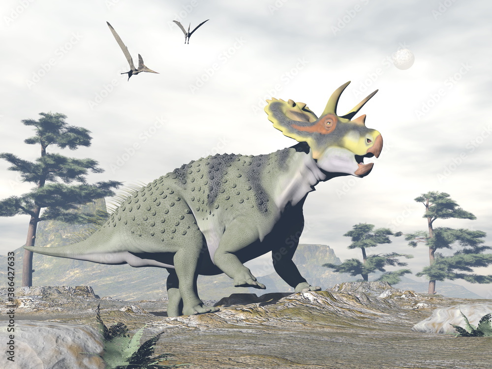 Anchiceratops dinosaur walk in the nature by grey day - 3D render - obrazy, fototapety, plakaty 