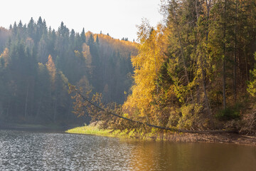 Wall Mural - autumn landscape with fog, picturesque forest on the river bank. bright colors of autumn on the tree