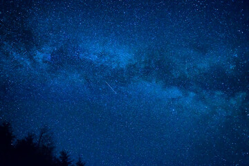 forest and pine trees landscape under blue dark night sky with many stars, milky way cosmos backgrou