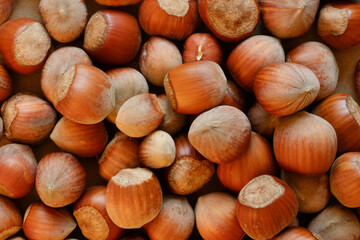 Macro shot of many Hazelnuts in nutshell. Concept of autumn harvesting. Natural and organic food full of vitamins. Seasonal vegetarian nutrition.