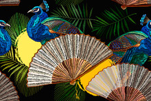 oriental-peacock-bird-fan-free-stock-photo-public-domain-pictures