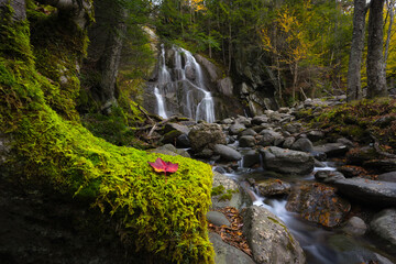 Red leaf on green moss with Moss Glen Falls in the background in Vermont 