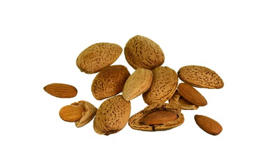 Wall Mural - Almond nut in shell and shelled with almond flower isolated on white background close up