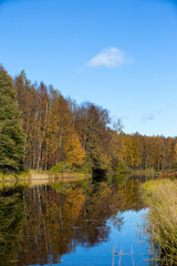 Wall Mural - Autumnal scenery at the riverside. Reflecting water and blue sky.