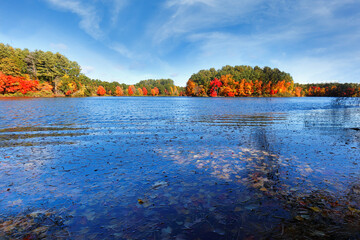 Wall Mural - Beautiful New England Fall Foliage with water reflections on a sunny day, Boston Massachusetts.