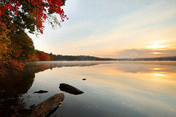 Wall Mural - Beautiful New England Fall Foliage with water reflections at sunrise , Boston Massachusetts.