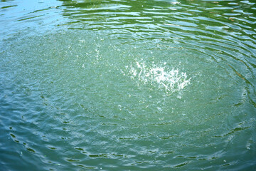 water splashing on the lake, close-up as texture for background