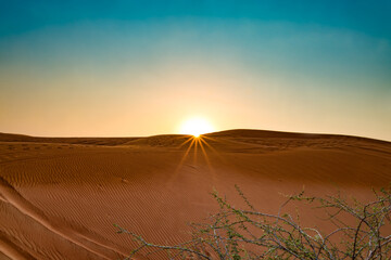 Wall Mural - Sunset - Sunburst in the desert in Sharjah.