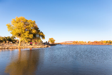 Wall Mural - ejina landscape in autumn