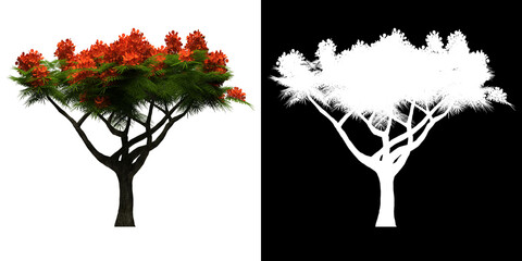 Wall Mural - left view of generic tree. png with alpha channel to cutout. made from 3d model for compositing.