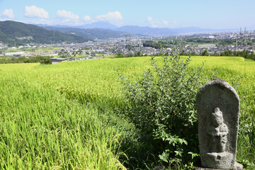 Wall Mural - 信州　姨捨棚田の道祖神