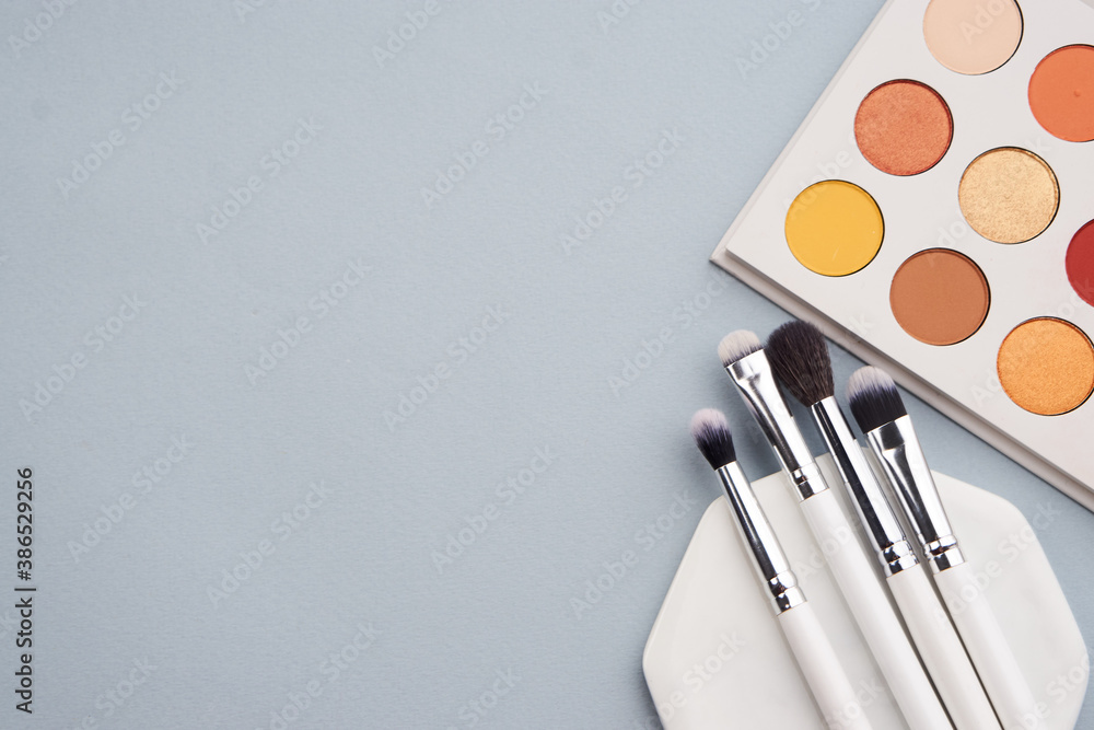 eyeshadow professional cosmetics makeup brushes Copy space - obrazy, fototapety, plakaty 