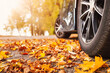 © candy1812 - Car on asphalt road on autumnr day at park