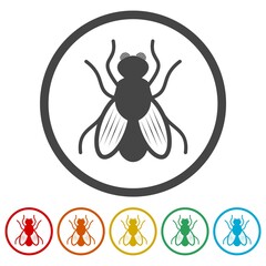 Wall Mural - House Fly sign ring icon, color set