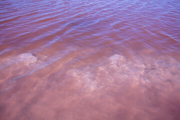 Wall Mural - Salty Pink lake. Water nature background