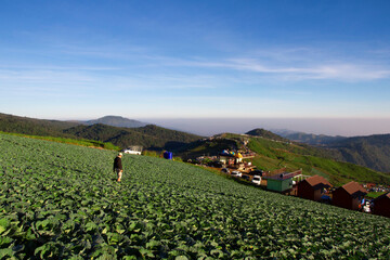 landscape farm with mountain in phu thap boek phetchabun thailand