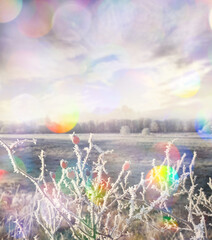 Wall Mural - winter morning - golden sunrise and frozen landscape