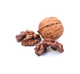 closeup of a walnut isolated on white background